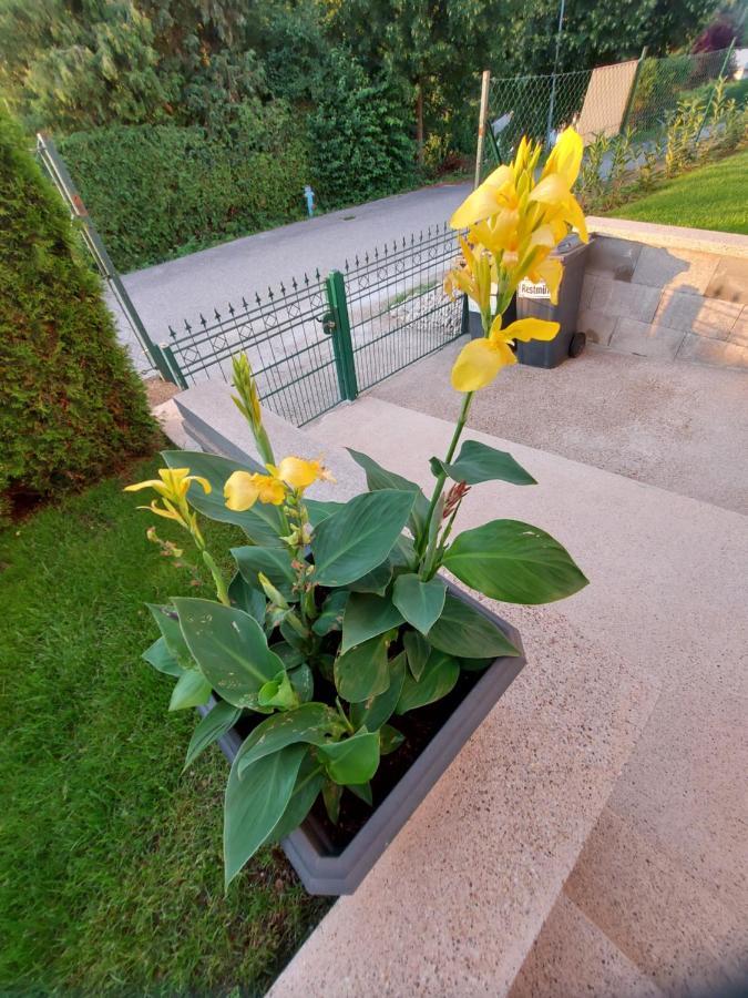 Privatzimmer Roland Hutten المظهر الخارجي الصورة